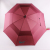 Double-Layer Golf Umbrella plus-Sized Windproof Straight Umbrella High-End Gift Umbrella Advertising Umbrella Business Umbrella Men and Women