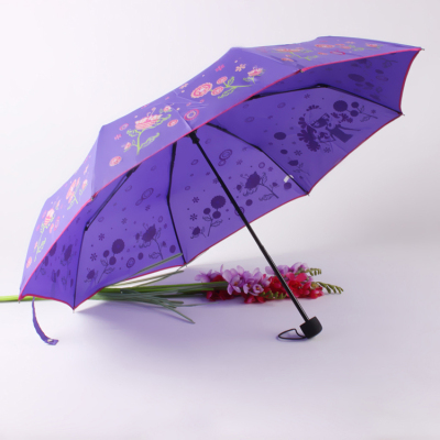 Printed Covered Folding Umbrella Hand Open Umbrella Ladies Sunshade Foreign Trade Umbrella Wholesale