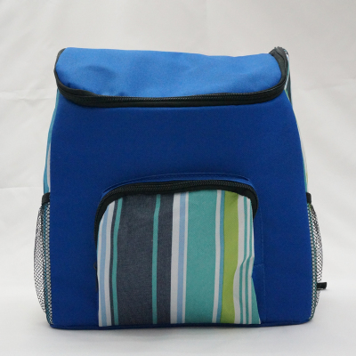 Ice packs insulated backpack bag picnic cooler bags bag easy bag