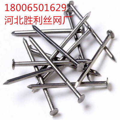 Roofing nail/ common nail/ polished nail/ concrete nail/shoe tack