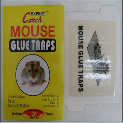 Drug safety cockroach gel mouse 6PCS adhesive tablets