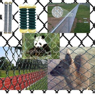 Chain link fence/diamond mesh/wire mesh/net Diamond Wire Mesh