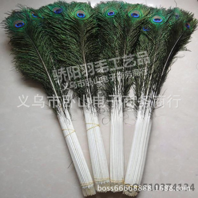 Hot sun feather spot supply of peacock hair 100-110cm division accurate