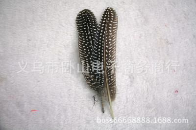 Sun feather manufacturers direct natural pearl nest ling 20CM DIY accessories