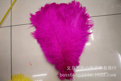 Sun feather factory direct sale of natural ostrich feather 30-35cm