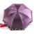 Elegant Atmospheric Sunshade Chameleon Parasol Lady Apollo Gift Sunny Umbrella XC-815
