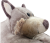 Pillow Wolf neck pillow Wolf doll u pillow