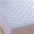 Mattress Mattress Pure Cotton Feather Velvet Single Layer White Fitted Sheet Protective Pad
