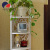 Seven-storey carved openwork storage cabinet rack shelf, baffle ZW005 (012)