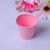 Spot Supply Tinplate Candy Color Exquisite Multi-Color Small Iron Bucket Home Mini Succulent Cultivation Candy Basin Small Bucket