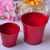 Spot Supply Tinplate Candy Color Exquisite Multi-Color Small Iron Bucket Home Mini Succulent Cultivation Candy Basin Small Bucket