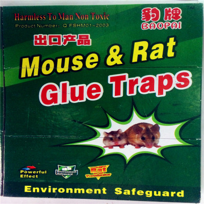 Leopard export strength glue rat Board