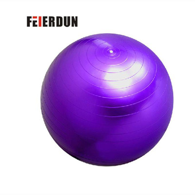 Yoga Ball 65cm thick Yoga Proof Fitness ball bearing 250kg