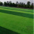 Landscape simulation of artificial turf sports pitch four-colour plastic green lawn turf0266