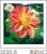 3D Micro Frame Painting Decorative Painting Clear Flower High-End Post-Modern Style 6060