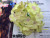 High-end wedding arch road lead fangting flower props hydrangea head support custom
