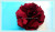 Spot camellia a stretch color ding head flower shoes flower