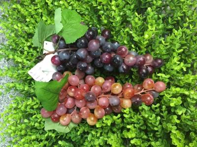 Manufacturers to provide simulation 60 grape