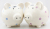 9.9 yuan ten yuan shop supply and distribution of ceramic crafts piggy pig piggy medium dots