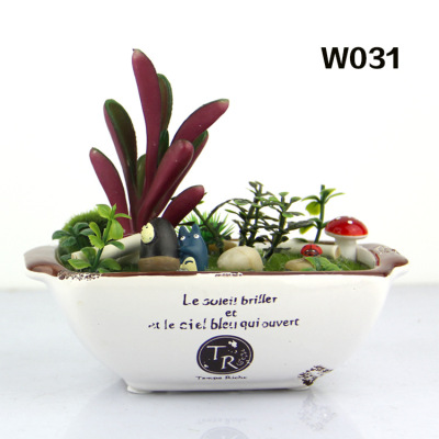 Simulation of plant aromatherapy aromatherapy micro landscape decoration new creative gifts 166