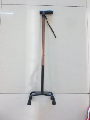 A four - cornered walking stick