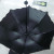 Fresh Sun Umbrella Lotus Edge Sun Umbrella Wind Shielding Umbrella Ball Handle Sun Umbrella