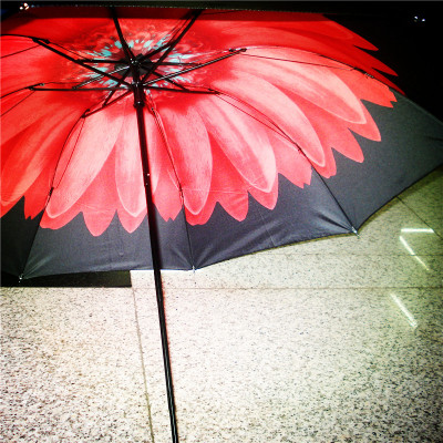 Simple Small Vinyl Sun Umbrella Super UV-Proof Sun Umbrella Windproof Sun Umbrella