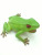 Frog plastic PVC imitation animal toys simulation YL-045