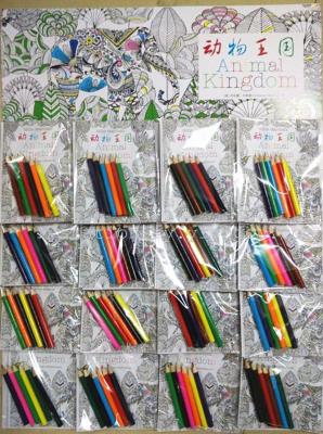 16PC board suspended the animal kingdom Secret Garden 4 color pencil coloring books