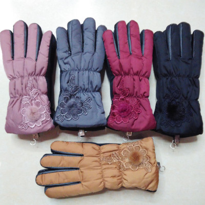 2015 manufacturers supplying warm gloves, waterproof and wind-shelter, winter