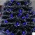 New Environmentally Friendly PE Material Exported to EU 1.8 M 180cm Optical Fiber Christmas Tree