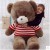 Holding-Heart Bear Teddy Bear Plush Toy Large Doll Panda Doll Valentine's Day Gift
