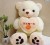 Happy Teddy Bear Plush Toy Holding-Heart Bear Doll Pillow Cloth Doll
