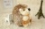 New Plush Hedgehog Toy Wedding Gifts Birthday Plush Doll