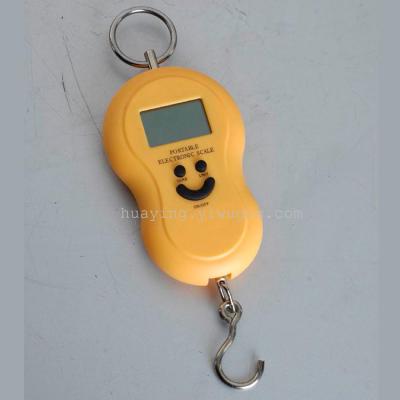 Household electronic hand scale express scale hoist scale