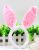 The new flash flash light rabbit ears rabbit ears headdress party stage decorative Headband