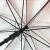 Manufacturers direct advertising umbrella silver plastic umbrella anti - uv 10 skeleton