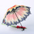 Creative Sunflower Transfer Umbrella Apollo Arch Princess Umbrella Wholesale Customized