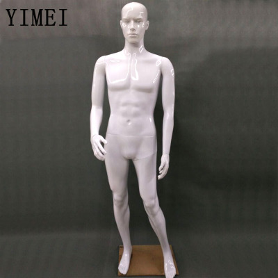 Models and models for men and women and white whole body model of the new model of male model props
