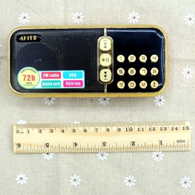 LFJTS861 Card mini speaker radio