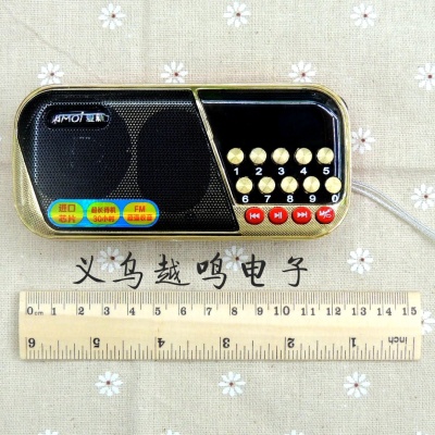 Amoi M177 Radio Card mini speaker