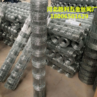 cattle fence  grassland fence iron wire mesh  fence wire factory Hebei