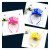 The new LOVE flash light head band antennae headdress head hoop a Valentine's Day party party supplies