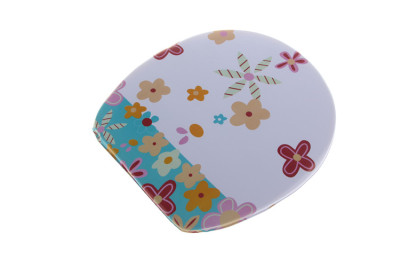 Manufacturers direct color printing toilet lid do toilet seat