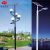 Professional Supply of Solar Lights Solar Garden Lamp Ground Plugged Light Can Call Us for Consultation and Customization