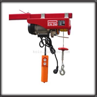 PA250 mini electric furniture 220V wire rope small crane