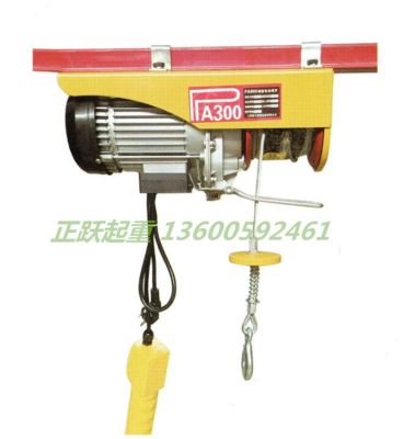 Micro Electric Hoist Lifting Lift Indoor and Outdoor Decoration Foxy Crane Pa300