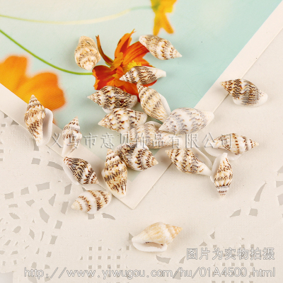 [Yibei jewelry] ocean side hole screw corn natural conch shell jewelry accessories wholesale natural