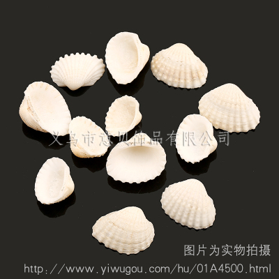 [Yibei jewelry] no rabbit hole rhubarb marine natural conch natural shell jewelry accessories wholesale