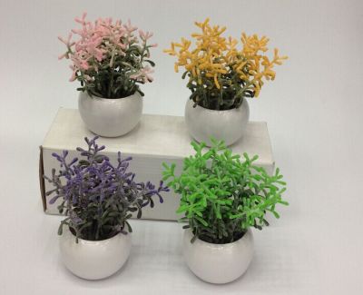 The plant is decorated with the flower pot, and the decoration of the flower pot is in the sale.